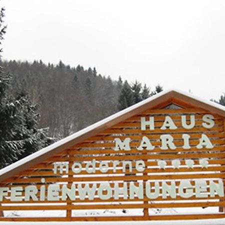 Apartmán Haus Maria Todtnau Exteriér fotografie