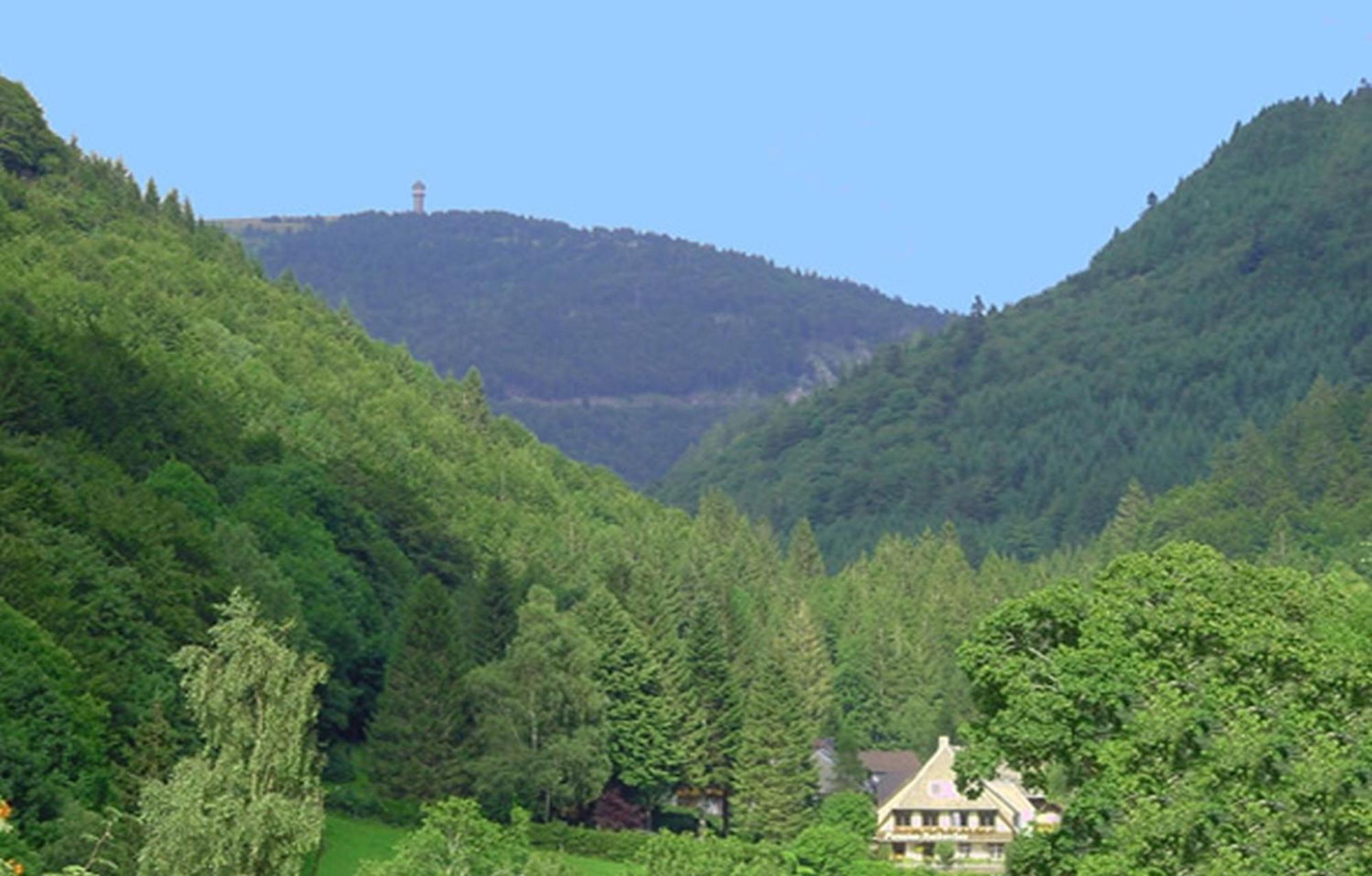 Apartmán Haus Maria Todtnau Exteriér fotografie