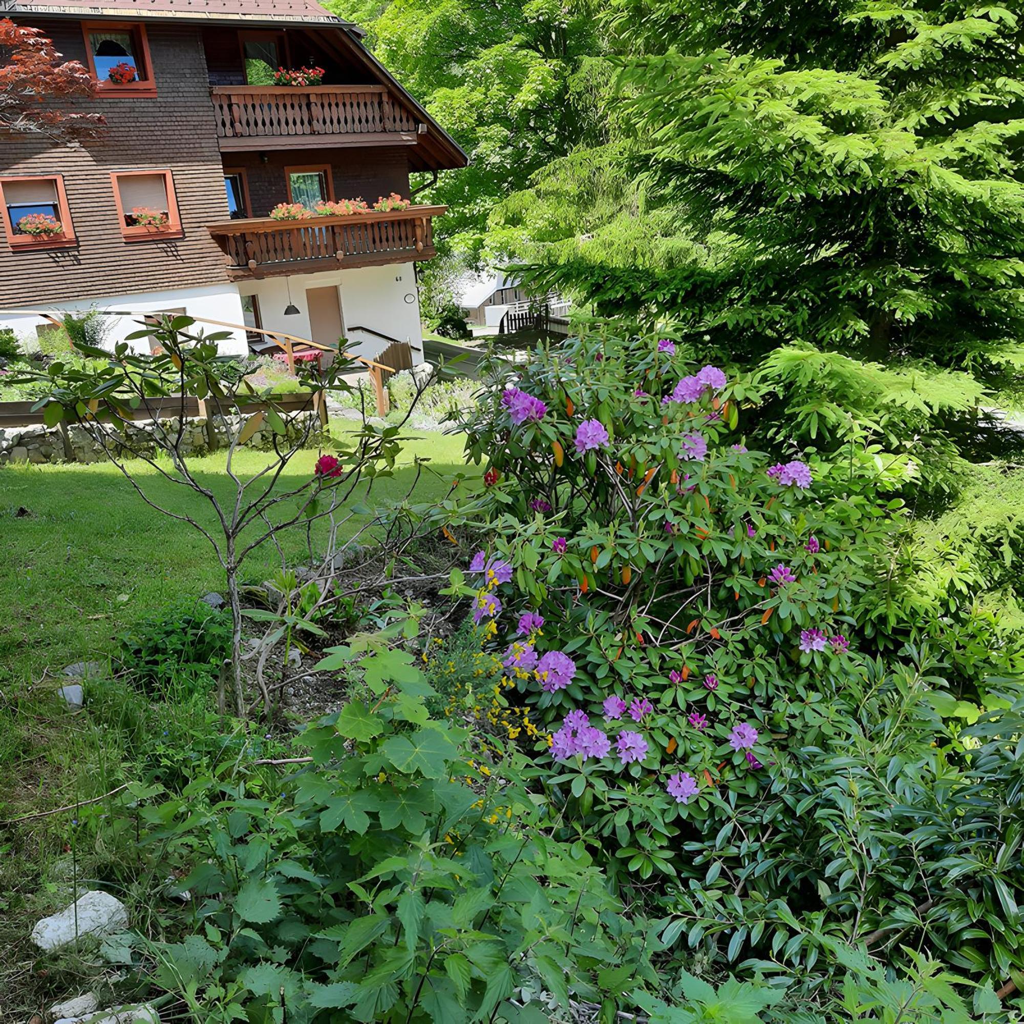 Apartmán Haus Maria Todtnau Exteriér fotografie