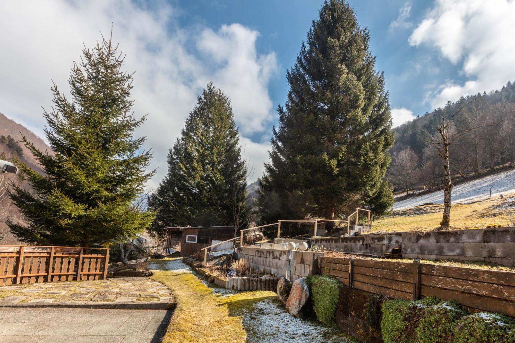 Apartmán Haus Maria Todtnau Exteriér fotografie