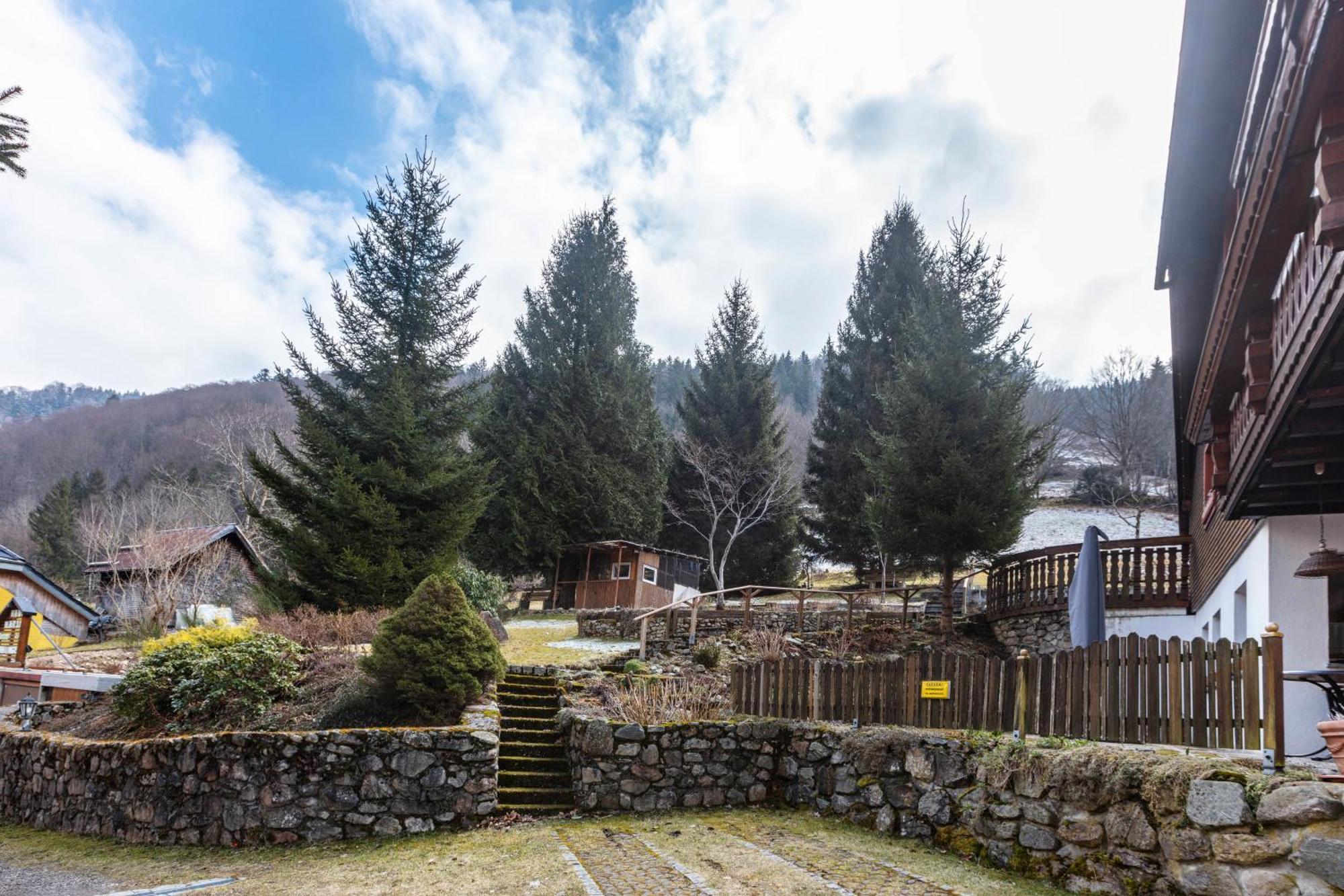 Apartmán Haus Maria Todtnau Exteriér fotografie